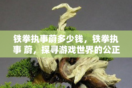 铁拳执事蔚多少钱，铁拳执事 蔚，探寻游戏世界的公正守护者