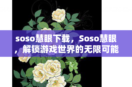 soso慧眼下载，Soso慧眼，解锁游戏世界的无限可能