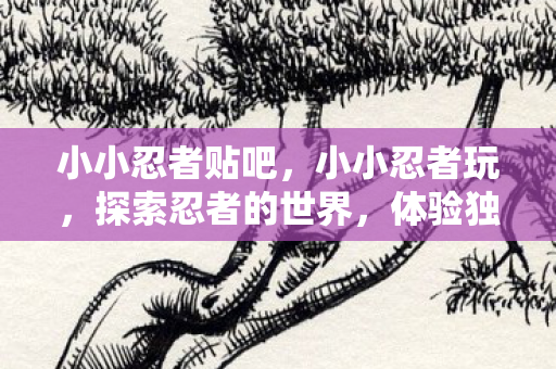 小小忍者贴吧，小小忍者玩，探索忍者的世界，体验独特的游戏乐趣