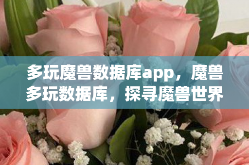 多玩魔兽数据库app，魔兽多玩数据库，探寻魔兽世界的珍贵数据宝藏
