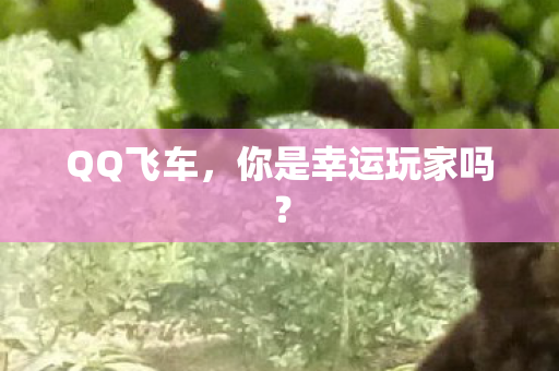 QQ飞车，你是幸运玩家吗？