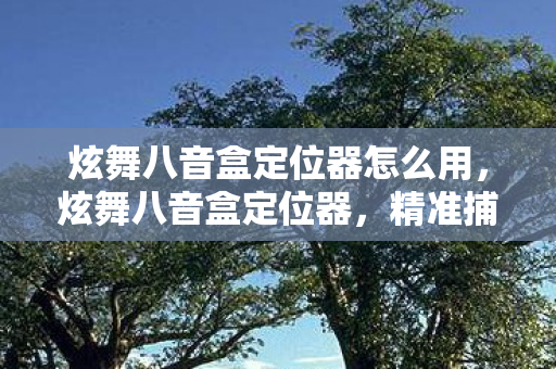炫舞八音盒定位器怎么用，炫舞八音盒定位器，精准捕捉音乐节奏，畅享舞蹈盛宴