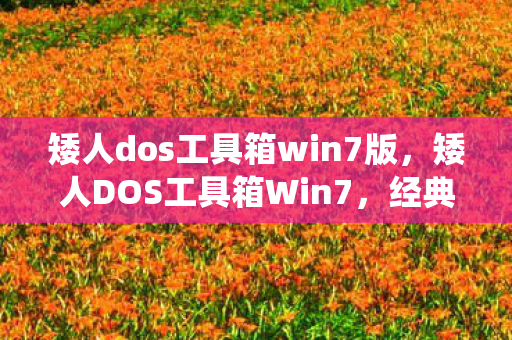 矮人dos工具箱win7版，矮人DOS工具箱Win7，经典工具，助力Win7系统优化与管理