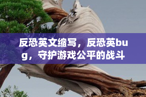 反恐英文缩写，反恐英bug，守护游戏公平的战斗