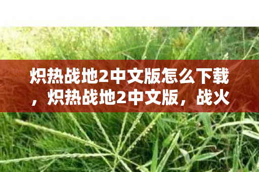 炽热战地2中文版怎么下载，炽热战地2中文版，战火重燃，中文界面下的战争体验