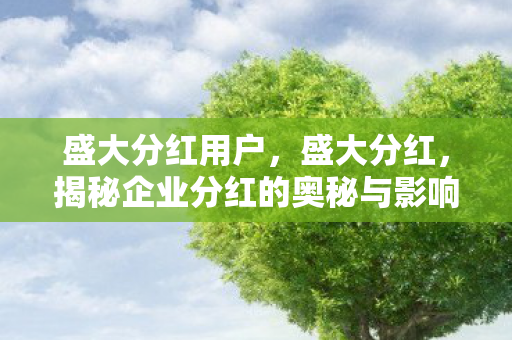 盛大分红用户，盛大分红，揭秘企业分红的奥秘与影响