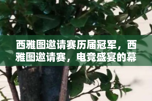 西雅图邀请赛历届冠军，西雅图邀请赛，电竞盛宴的幕后揭秘