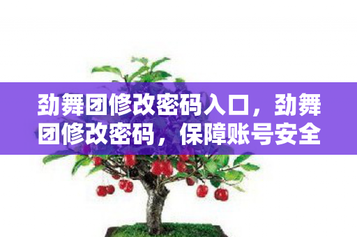 劲舞团修改密码入口，劲舞团修改密码，保障账号安全，享受无忧游戏