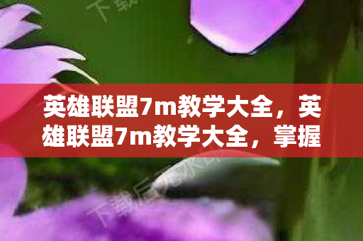 英雄联盟7m教学大全，英雄联盟7m教学大全，掌握核心技巧，提升游戏水平