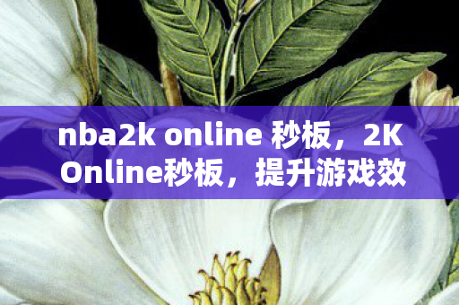 nba2k online 秒板，2K Online秒板，提升游戏效率与体验的创新工具