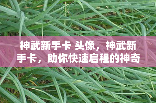 神武新手卡 头像，神武新手卡，助你快速启程的神奇钥匙