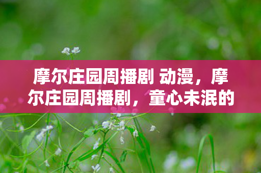 摩尔庄园周播剧 动漫，摩尔庄园周播剧，童心未泯的奇幻之旅