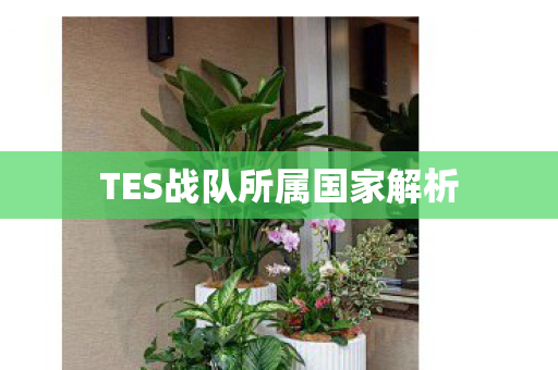 TES战队所属国家解析