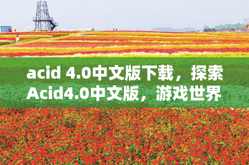 acid 4.0中文版下载，探索Acid4.0中文版，游戏世界的全新体验
