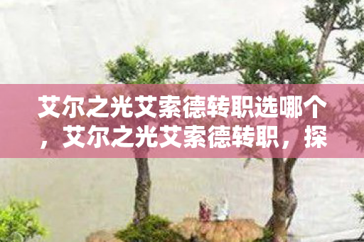 艾尔之光艾索德转职选哪个，艾尔之光艾索德转职，探索全新战斗风格与技能组合