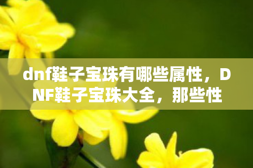 dnf鞋子宝珠有哪些属性，DNF鞋子宝珠大全，那些性价比之选