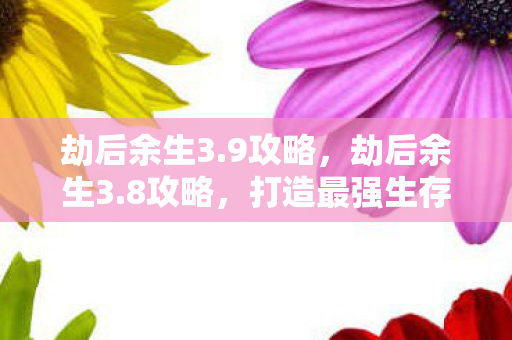 劫后余生3.9攻略，劫后余生3.8攻略，打造最强生存策略