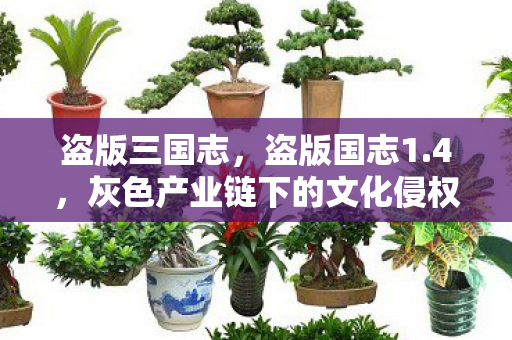 盗版三国志，盗版国志1.4，灰色产业链下的文化侵权现象