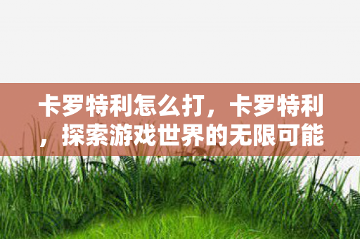 卡罗特利怎么打，卡罗特利，探索游戏世界的无限可能