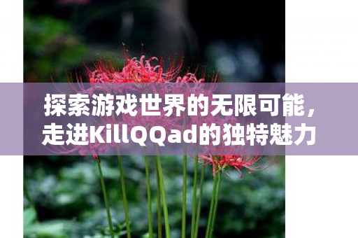 探索游戏世界的无限可能，走进KillQQad的独特魅力