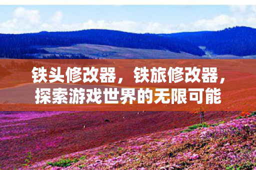 铁头修改器，铁旅修改器，探索游戏世界的无限可能