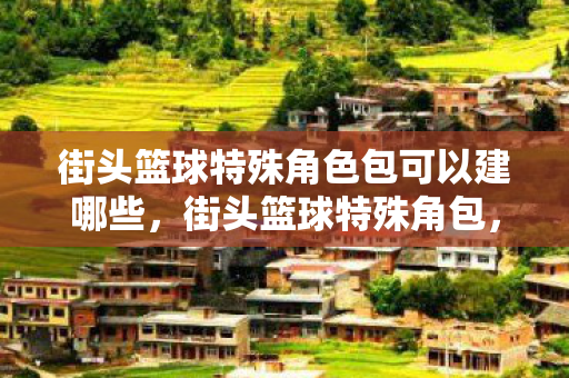 街头篮球特殊角色包可以建哪些，街头篮球特殊角包，解锁无限可能的篮球技巧