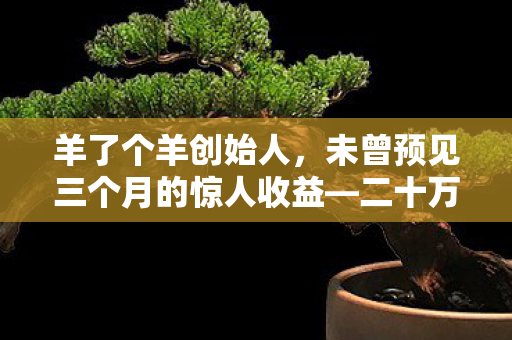 羊了个羊创始人，未曾预见三个月的惊人收益—二十万的奇迹