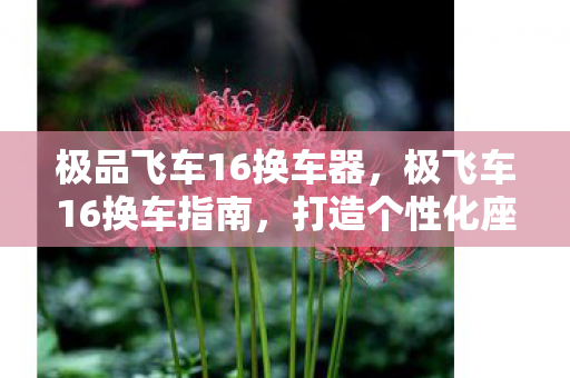 极品飞车16换车器，极飞车16换车指南，打造个性化座驾