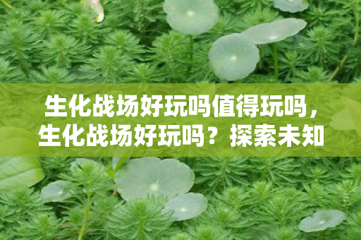 生化战场好玩吗值得玩吗，生化战场好玩吗？探索未知世界的刺激体验