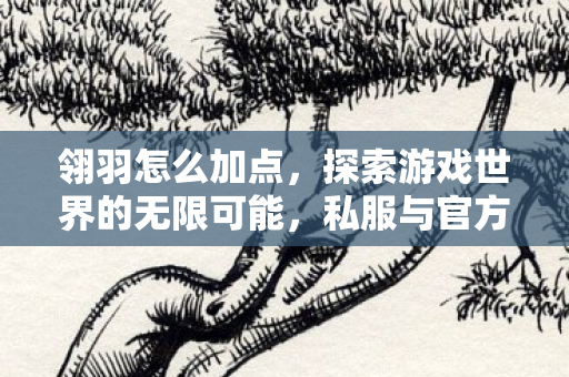 翎羽怎么加点，探索游戏世界的无限可能，私服与官方服务器的独特魅力