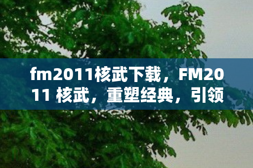 fm2011核武下载，FM2011 核武，重塑经典，引领策略游戏新风尚