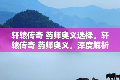 轩辕传奇 药师奥义选择，轩辕传奇 药师奥义，深度解析与实战应用