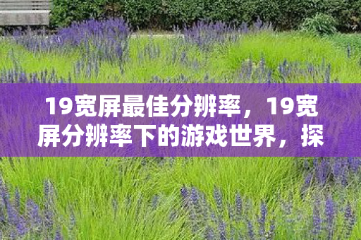 19宽屏最佳分辨率，19宽屏分辨率下的游戏世界，探索视觉与体验的完美融合