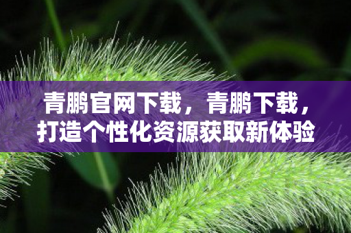 青鹏官网下载，青鹏下载，打造个性化资源获取新体验