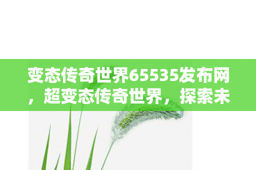 变态传奇世界65535发布网，超变态传奇世界，探索未知世界的无尽冒险