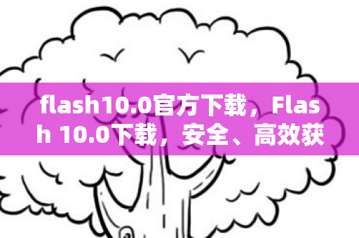 flash10.0官方下载，Flash 10.0下载，安全、高效获取官方资源指南