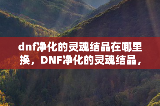 dnf净化的灵魂结晶在哪里换，DNF净化的灵魂结晶，探索游戏内的重要道具与独特价值