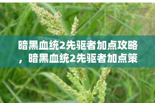 暗黑血统2先驱者加点攻略，暗黑血统2先驱者加点策略
