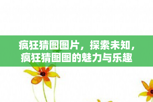疯狂猜图图片，探索未知，疯狂猜图图的魅力与乐趣