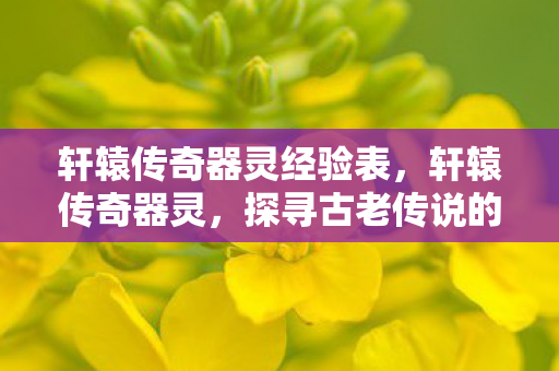 轩辕传奇器灵经验表，轩辕传奇器灵，探寻古老传说的神秘力量