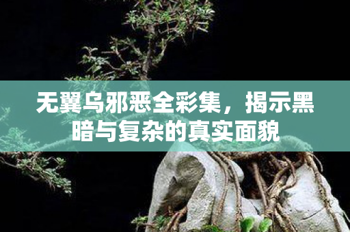 无翼乌邪恶全彩集，揭示黑暗与复杂的真实面貌