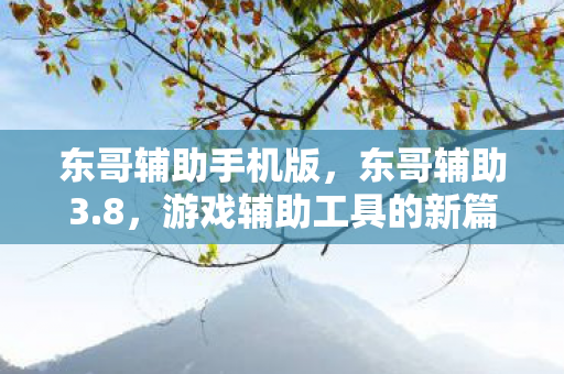 东哥辅助手机版，东哥辅助3.8，游戏辅助工具的新篇章