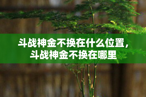 斗战神金不换在什么位置，斗战神金不换在哪里