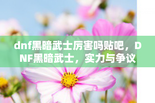 dnf黑暗武士厉害吗贴吧，DNF黑暗武士，实力与争议并存的神秘存在