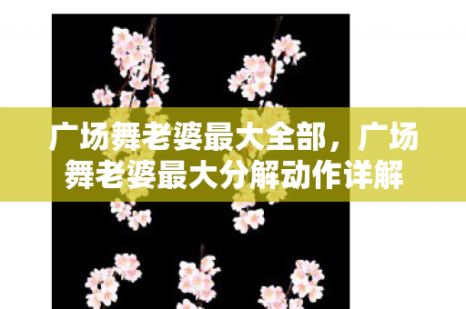 广场舞老婆最大全部，广场舞老婆最大分解动作详解
