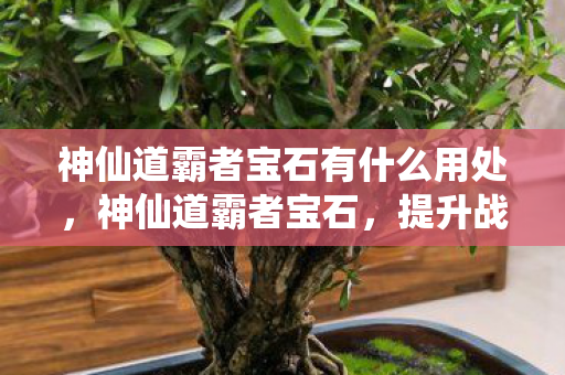 神仙道霸者宝石有什么用处，神仙道霸者宝石，提升战力与装备属性的关键