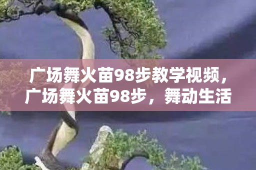 广场舞火苗98步教学视频，广场舞火苗98步，舞动生活的艺术