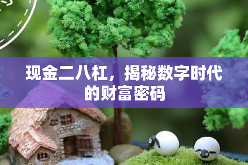 现金二八杠，揭秘数字时代的财富密码
