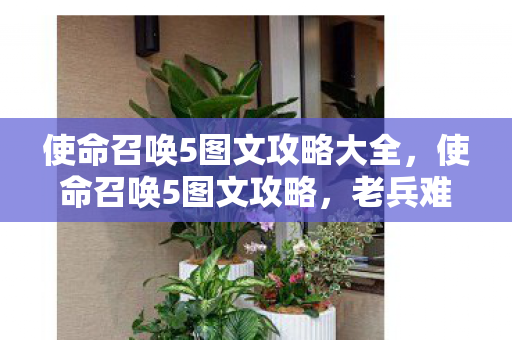 使命召唤5图文攻略大全，使命召唤5图文攻略，老兵难度下的战术与策略