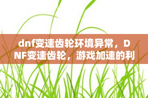 dnf变速齿轮环境异常，DNF变速齿轮，游戏加速的利与弊